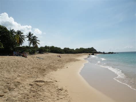 st martin nude beach|Happy Bay Beach